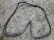 Türgummi links vorne Lexus RX 1 (MCU15)