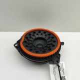 Türlautsprecher vorne links