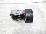 Türscharnier hinten links Renault Grand Scenic II (JM) 25043389