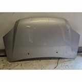 Motorhaube SUBARU JUSTY III (G3X) 1.3 AWD