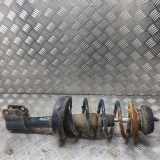 Stoßdämpfer vorne links RENAULT KANGOO Express (FC0/1_) D 65 1.9 (FC0E, FC02, FC0J, FC0N)