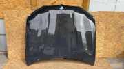 Motorhaube BMW X7 (G07) xDrive40d M Sport K5T9778