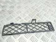 Kühlergrill unten Toyota RAV 4 II (A2) 53127420