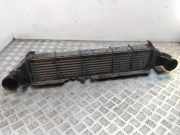 Ladeluftkühler MERCEDES-BENZ C (W203) C 200 CDI (203.004) A2035000600