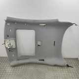 Dachverkleidung MERCEDES-BENZ CL (C216) CL 500 (216.371) A2166901450