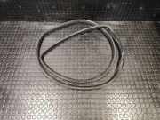 Türdichtung Nissan Murano II (Z51)