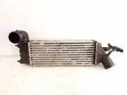 Ladeluftkühler PEUGEOT 807 (E) 2.2 HDi 1489396080 870229HF