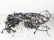 Kabelbaum MAZDA DEMIO (DW) 1.5 16V DC3867230C