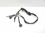 Kabelbaum OPEL ZAFIRA TOURER C (P12) 1.6 CDTI 20862608