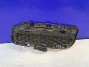 Kühlergrill links Jaguar XJ (X35) FW9315K233AA