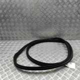 Türgummi rechts vorne Mercedes-Benz S-Klasse (W221) A2216970551