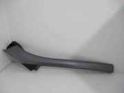 Schutzleiste Kotflügel Renault Grand Scenic II (JM) 768350002R