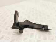 Kofferraumverkleidung LAND ROVER RANGE ROVER EVOQUE (L538) 2.2 D 4x4 BJ3244248BF