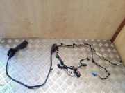 Kabel der vorderen linken Tür VW PASSAT Variant B8 (3G5) 1.6 TDI 3G2971120H