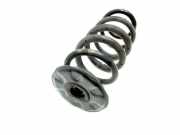 Feder links hinten Toyota RAV 4 IV (A4)