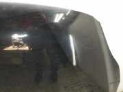 Motorhaube Ford C-Max II (DXA)