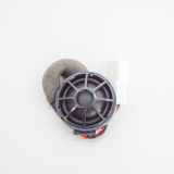 Lautsprecher links vorne Tesla Model X (5YJX) 105072400A