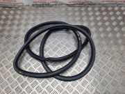 Türgummi rechts vorne Audi Q7 (4L)