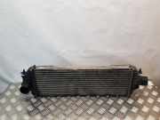 Ladeluftkühler Opel Vivaro B Combi (X82) 8200219497