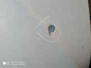 Motorhaube PEUGEOT 407 Coupe (6C_) 2.7 HDi