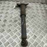 Stoßdämpfer hinten links LEXUS UX (_AA1_, _AH1_, _MA1_) 250h (MZAH10) 48530-76180