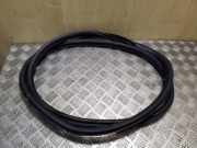 Dichtungsgummi der hinteren Tür (an der Karosserie) VOLVO S60 I 2.0 T