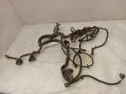 Motor Kabelbaum NISSAN NOTE (E11, NE11) 1.5 dCi 8200397012