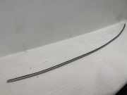 Dachleiste links SKODA SUPERB II (3T4) 2.0 TDI