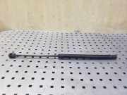 Heckklappe Gasdruckfeder rechts