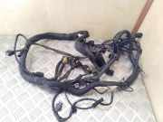 Motor Kabelbaum MERCEDES-BENZ A (W169) A 180 CDI (169.007, 169.307) A6401501833