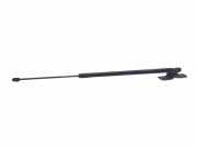 Heckklappe Gasdruckfeder links FORD C-MAX II (DXA/CB7, DXA/CEU) 1.6 TDCi AM51R406A10AB