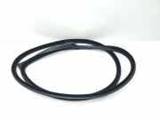 Türgummi rechts vorne BMW 4er Coupe (F32, F82) 7279742