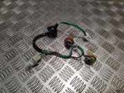 Rücklichtkontakte NISSAN JUKE (F15) 1.6 DIG-T 4x4