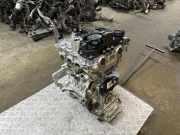 Motor OPEL ASTRA L (O5) 1.2 (FPHNSL, FPHNSR) 981134648