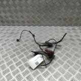 Antenne AUDI A6 C8 Avant (4A5) RS6 Mild Hybrid quattro 4M0035507