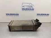 Ladeluftkühler Peugeot Partner II Kasten () 9645965180