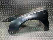 Kotflügel links vorne Audi A6 Avant (4F, C6)