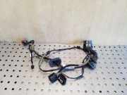 Türverkabelung hinten rechts FORD FOCUS IV (HN) 1.0 EcoBoost BV6T14240