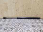 Heckklappe Gasdruckfeder rechts OPEL FRONTERA B (6B_) 2.2 DTI (6B_ZC, 6B_VF, 6B_66, 6B_76) 8971717300