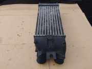 Ladeluftkühler Citroen Xsara Picasso (N68) 9645965180