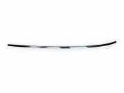 Dachleiste links BMW 3 Gran Turismo (F34) 330 d xDrive 7285945