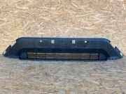 Gitter vorne unten TOYOTA RAV 4 V (A5, H5) 2.5 Hybrid AWD (AXAP54) C01849
