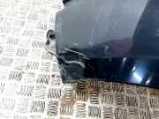 Kotflügel vorne links