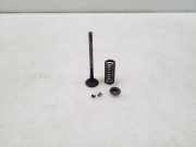 Auslassventile NISSAN QASHQAI / QASHQAI +2 I (J10, JJ10) 2.0 dCi