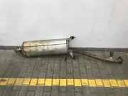 Auspuffanlage hinten Lexus NX 1 () 13614