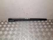 Vertikale Verkleidung an der vorderen linken Tür BMW 4 Convertible (G23, G83) 420 i 7482793