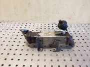 AGR-Kühler NISSAN X-TRAIL (T31) 2.0 dCi H8200620695 8200719993