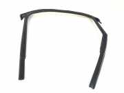 Türgummi rechts hinten Audi A4 Allroad (8W, B9) 8W5839440C