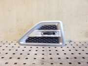 Schutzleiste Kotflügel Land Rover Freelander 2 (L359) 6H52014K80BB