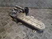 Abgaskühler VW Golf V Plus (5M, 521) 038131513AD